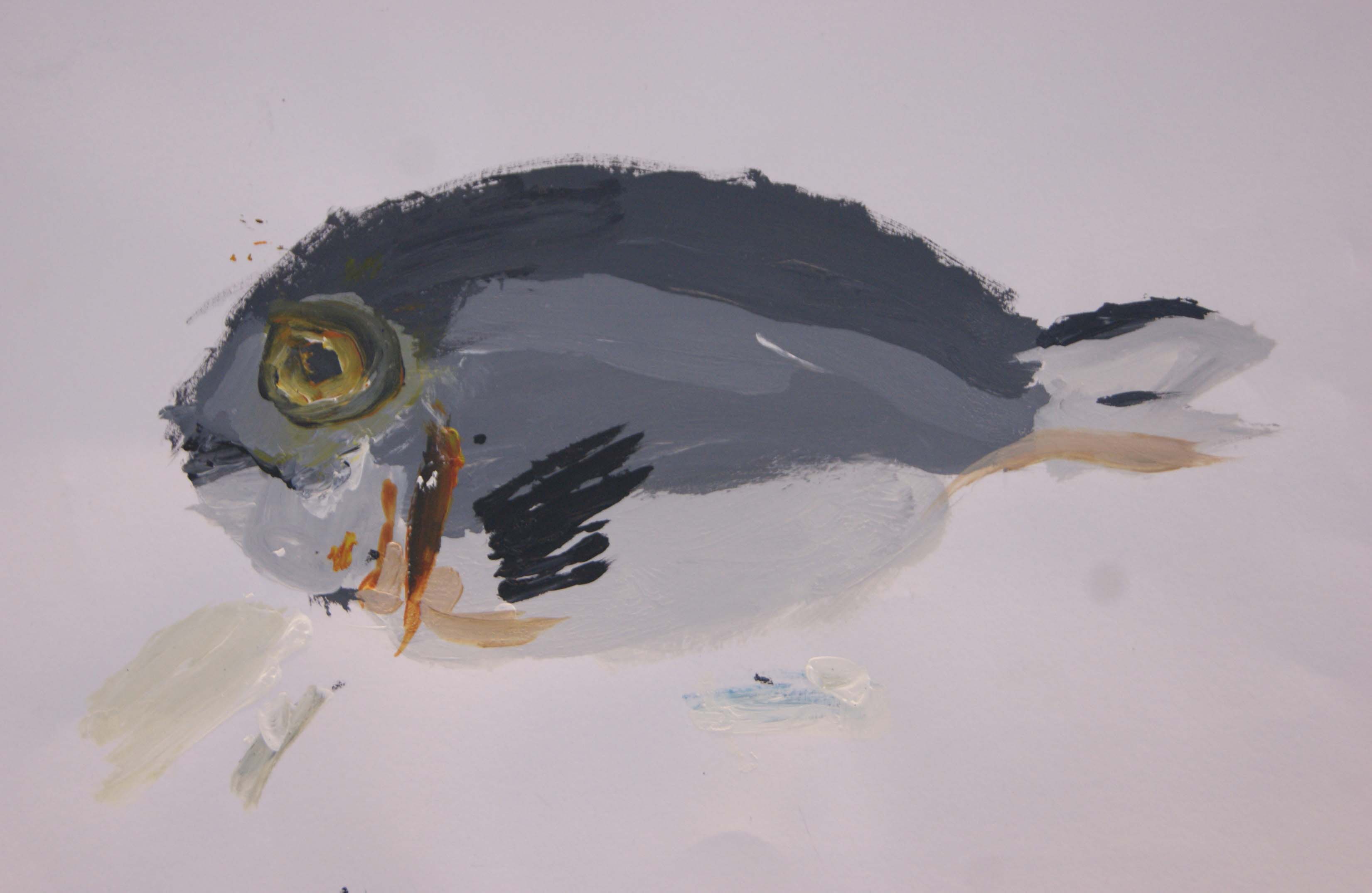 Sea Bream St Martins Northwood Year 6